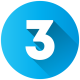 3